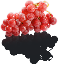 grape berries