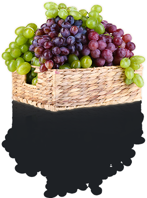 basket of grape