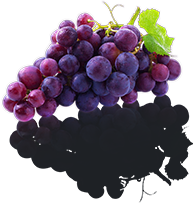 grape berries