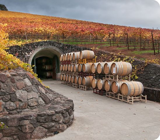 wine barrels store